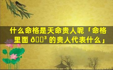 什么命格是天命贵人呢「命格里面 🐳 的贵人代表什么」